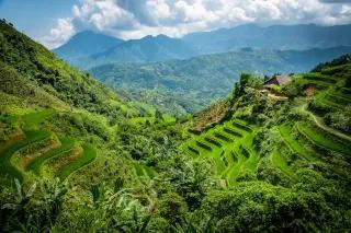 Panoramablick über ein Tal mit saftgrünen Reisterrassen und Wald.