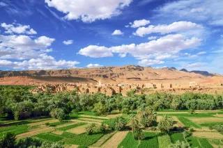 Hinter einer grünen Oase mit Feldern ist eine Lehmstadt. Dahinter sind Berge.