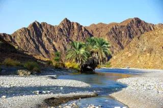 Ein Flussbett im steinigen Boden. In der Mitte sind Palmen, rings rum sind Berge.