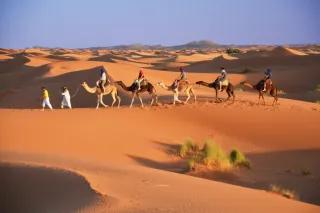 Eine Kamelkarawane aus fünf Kamelen zieht durch die Sanddünen der Wüste.