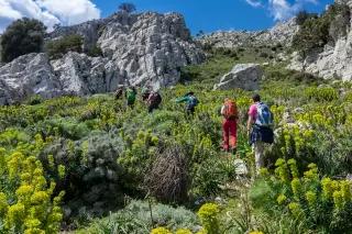 Gruppe von Wanderern läuft grünen Berghang mit grauen Felsen und grünen Pflanzen nach oben