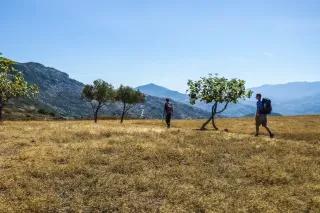 Zwei Wanderer mit Rucksack laufen hintereinander über karge Wiese mit einzelnen Bäumen