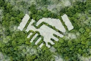 Grüner dichter Wald von oben mit dem Symbol eines Handschlags