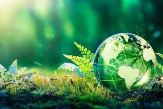 Auf einem grünen Waldboden liegt eine Glaskugel. Die Glaskugel stellt einen Globus dar. Im Hintergrund ist ein verschwommener Wald zu sehen.