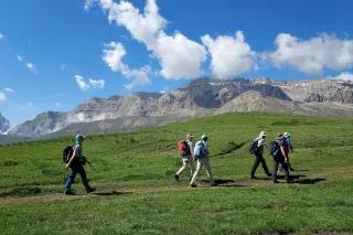 Sechs Wanderer gehen auf einem schmalen Pfad über eine grüne Wiese. Im Hintergrund sind felsige Berge zu sehen.
