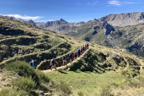 Eine Gruppe Wanderer geht auf einem schmalen Pfad auf einem grünen Hügel. Im Hintergrund sind Felsen zu sehen.