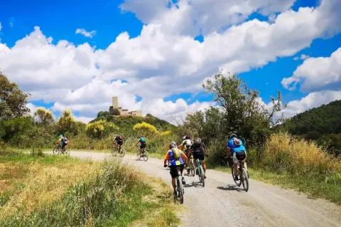 Eine Gruppe von Radfahrern fährt auf einem breiten Schotterweg in einer grünen Buschlandschaft.
