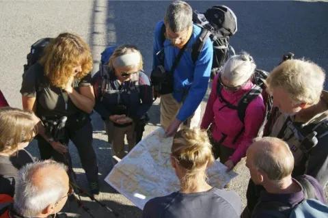 Eine Reiseleiterin steht mit ihrer Gruppe von Wanderern um eine Karte herum. Alle blicken auf die Karte, das Bild ist von oben aufgenommen.