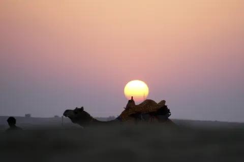 Im Hintergrund ist die runde, orange-rote Sonne zu sehen, die den Himmel in orangenes Licht taucht. Im Schatten vorne ist ein Teil eines Kamels mit Sattel zu sehen, welches hinter einem Menschen hergeht. Die beiden sind nur grob zu erkennen.