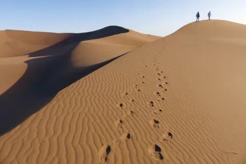 Blick auf eine hohe Düne aus Sand auf der die Spuren von Menschen die die Düne nach oben gehen zu sehen sind. Weit oben auf dem Kamm der Düne gehen zwei Personen.