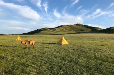 Blick über eine grüne, weite Wiese auf der zwei kleine, gelbe Zelte stehen. Zwischen den Zelten steht ein Pferd, im Hintergrund sind grün bewachsene Hügel zu sehen.