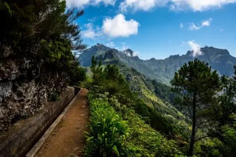 Wasserweg, auch Levada genannt, führt durch eine grüne Bergwelt mit vielen Bäumen und mit einem blauen Himmel mit einzelnen Wolken