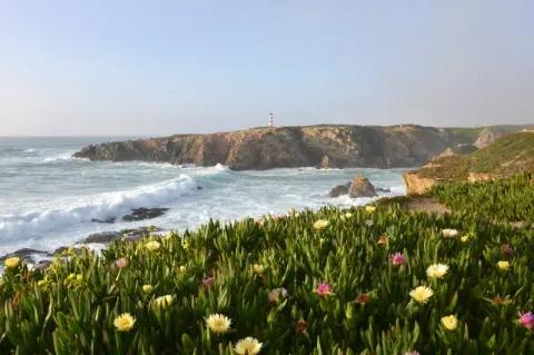Blick auf eine Bucht mit einem Leuchtturm in der Ferne. Im Vordergrund ist eine bunte Blumenwiese zu sehen.