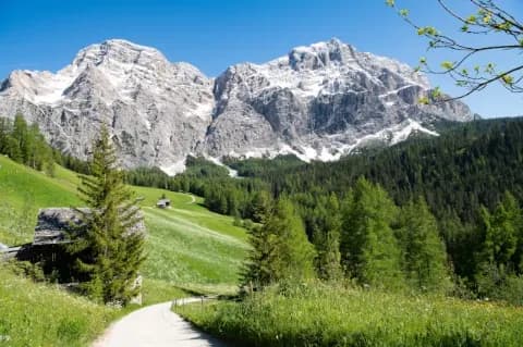 Wanderweg durch eine blumige Alpenwiese mit Blick auf felsige Gipfel der Dolomiten.