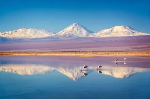 Auf dem Wasser spiegeln sich die schneebedeckten Berge und die rötliche Landschaft. Es gibt Flamingos.