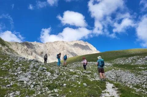 Wanderer gehen auf einem Pfad. An den Seiten sind Wiese und Steine. Ein großer Berg am Horizont.