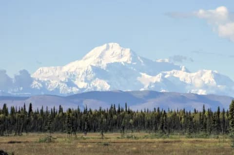 Ein schneebedeckter Berg hinter kleineren Bergen. Davor steht ein Wald.