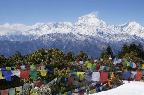 Mehrere Gebetsfahnen sind zwischen den Bäumen gespannt. Im Hintergrund sind schneebedeckte Berge.