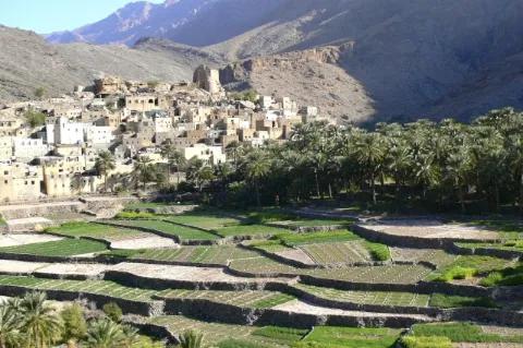 Ein Dorf im Tal. Die Häuser sind weiß. Rechts wachsen Palmen, davor sind Felder.