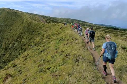 Mehrere Wanderer gehen auf einem Pfad im Grünen. Der Weg ist schmal und es geht leicht bergauf.