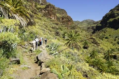 Wanderer laufen auf einem Pfad am Berg. Die Landschaft ist sehr grün mit Palmen.
