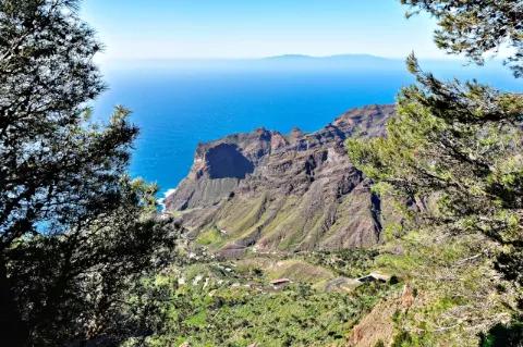 Hinter Bäumen ist ein Berg, der sich an der Küste des Meeres befindet. Der Himmel ist blau.