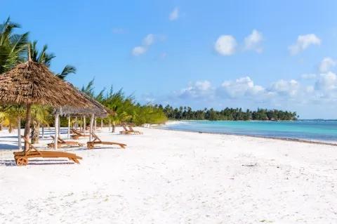 Ein weißer Sandstrand mit Palmen und das klare, blaue Meer. Am Strand stehen Liegestühle und Schirme.