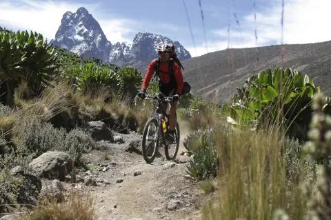 Ein Radfahrer fährt auf einem Pfad in der Landschaft. Im Hintergrund ist der Mount Kenya zu sehen.