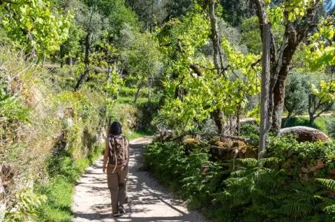 Eine Frau wandert allein auf einer Gasse im Dorf Ermida, überwuchert von Weinreben im Nationalpark Peneda-Geres in Portugal.