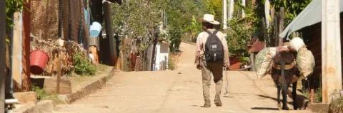 Ein Mann in beige gekleidet mit Hut läuft durch en Dorf mit einem Esel an seiner Seite.