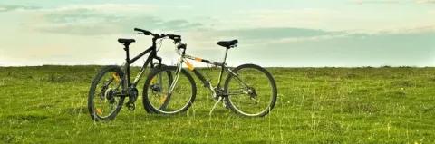 Zwei Fahrräder stehen auf einer grünen Wiese bei geschlossener Wolkendecke