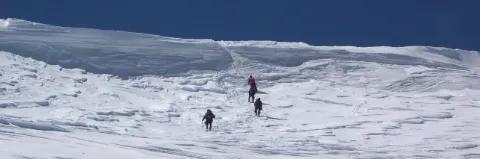Vier Personen laufen mit Skiern einen schneebedeckten Hang hinauf unter tiefblauem Himmel