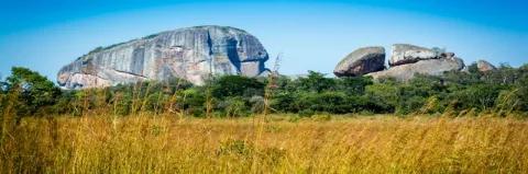 Zwei Felsen stehen hinter grünen Bäumen und einer Savannenlandschaft mit gelbem Gras unter blauem Himmel