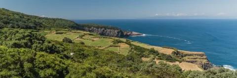 Luftaufnahme von Küstenlandschaft am Meer mit grünem Wald und Wiesen bei blauem Himmel