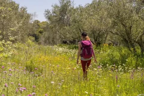 Frau mit Wanderrucksack läuft über eine Wiese mit hohem Gras