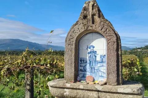 Vor einer Traubenplantage steht ein Wegzeichen des Jakobsweg aus Beton.