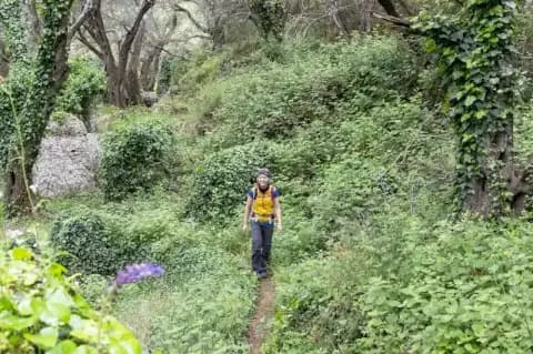 Frau läuft auf einem schmalen Pfad durch einen grünen Wald mit Bäumen, Wiese und Pflanzen