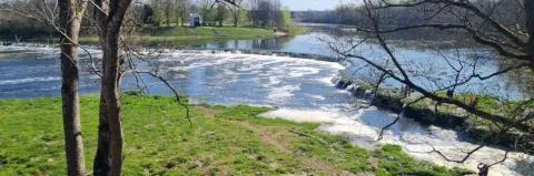 Fluss mit kleinem Wasserfall und grüne Wiese am Ufer mit kargen Bäumen