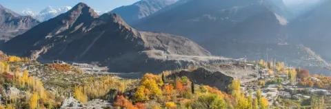 Panorama einer Berglandschaft mit grauen Bergspitzen und Tal mit gelben Sträuchern
