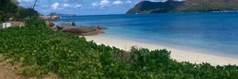 Grün bewachsener Strandabschnitt mit weißem Sand, blauen Meer und grauen Felsen