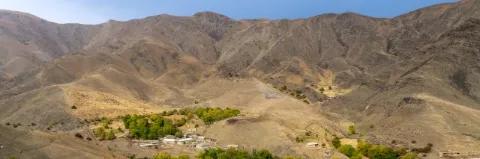 Oase mit grünen Bäumen inmitten einem Tal mit kargen Bergen unter blauem Himmel