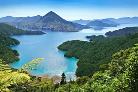 Blick über eine türkisblaue Fjordlandschaft. Die Landschaft im Umkreis besteht aus dunkelgrünen Wäldern.