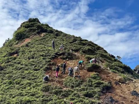 Auf dem Bild ist das Pflanzareal von Hauser Exkursionen in Nepal zu sehen, auf dem das Projekt "One day one tree" umgesetzt wird.