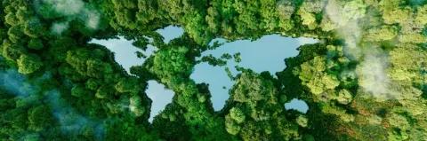 Ein See in Form der Kontinente der Erde inmitten unberührter Natur