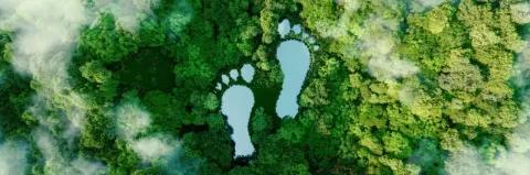 Ein See in Form menschlicher Fußabdrücke inmitten eines üppigen Waldes