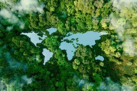 Ein grüner Wald von oben mit einem See in der Form der Kontinente.