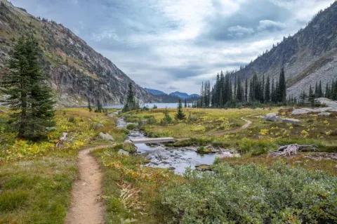 Blick auf einen kleinen Pfad der durch eine feuchte Moorlandschaft führt. Im Hintergrund sind Hügel und Nadelbäume zu sehen.