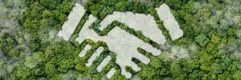 Blick von oben auf einen grünen Wald. Es ist die Form eines Handschlags im Wald zu erkennen.