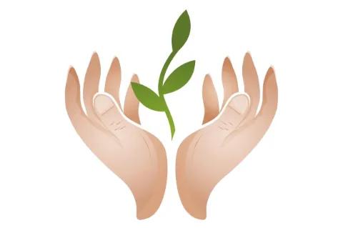 Zwei gezeichnete Hände geben einer jungen Pflanze Schutz