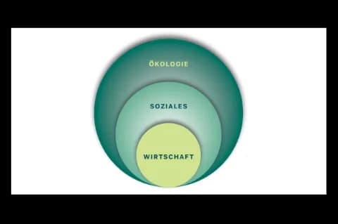 Es sind drei Kreise auf weißem Hintergrund abgebildet. Im äußeren Kreis steht Ökologie, im mittleren Soziales und im inneren Kreis Wirtschaft